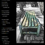 Lichen and Light—Where Time Takes a Seat by SB Studios Summer 2025