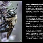 The Alchemist of the Air—Carpenter Bee in Reverent Repose by SB Studios 2025