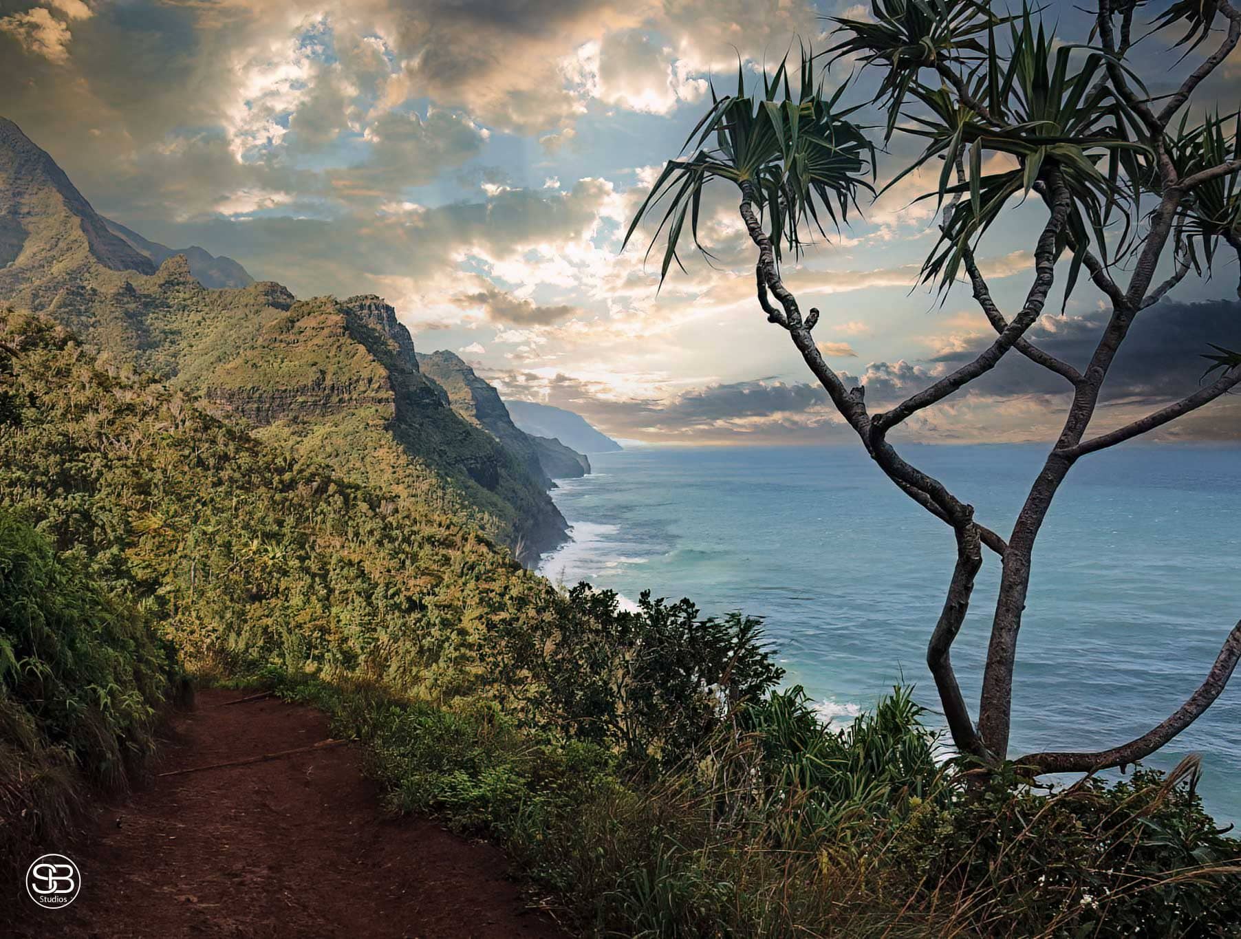 Edge of Paradise—Where Cliffs Kiss the Pacific by SB Studios 2024