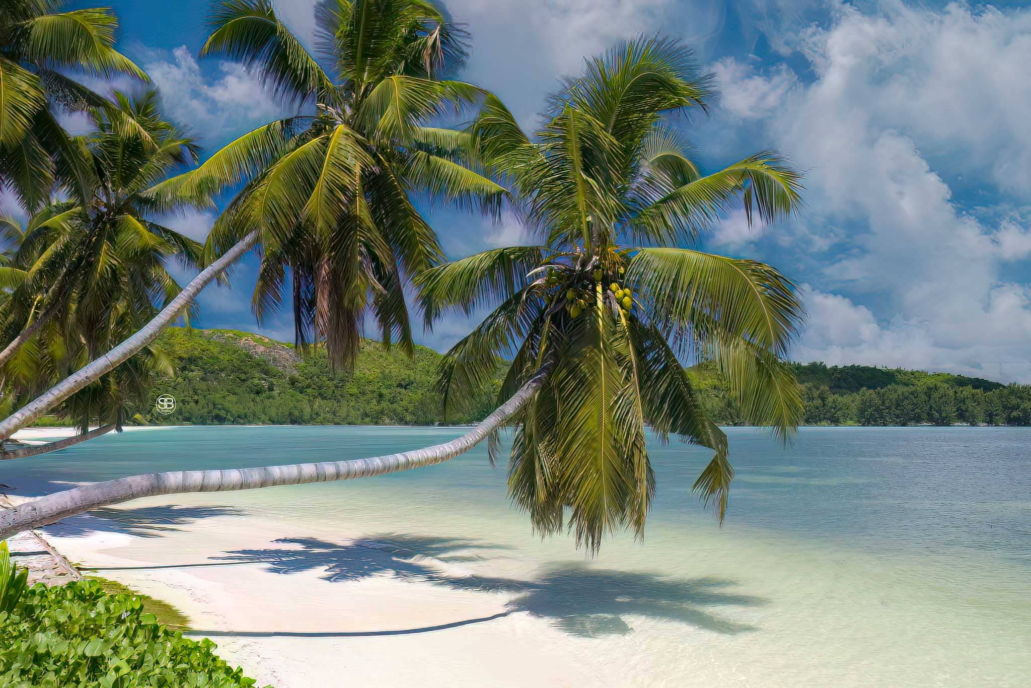 Eden’s Repose—Praslin’s Palm-Lit Horizon Seychelles by SB Studios Summer 2025