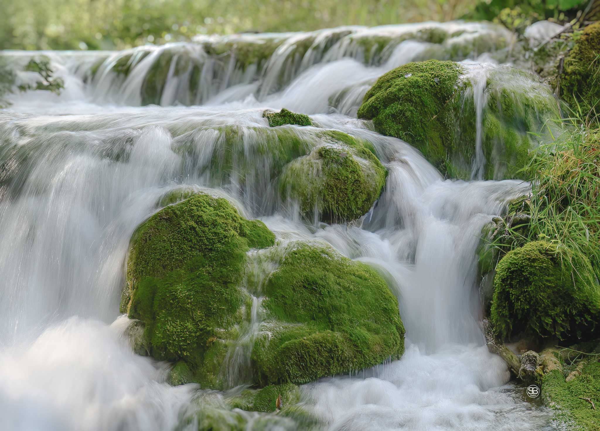 Mossborne Murmurs—Plitvice in Motion by SB Studios 2025