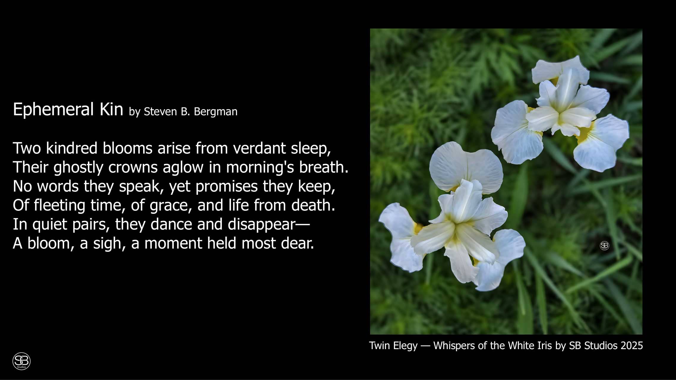 Twin Elegy — Whispers of the White Iris by SB Studios 2025