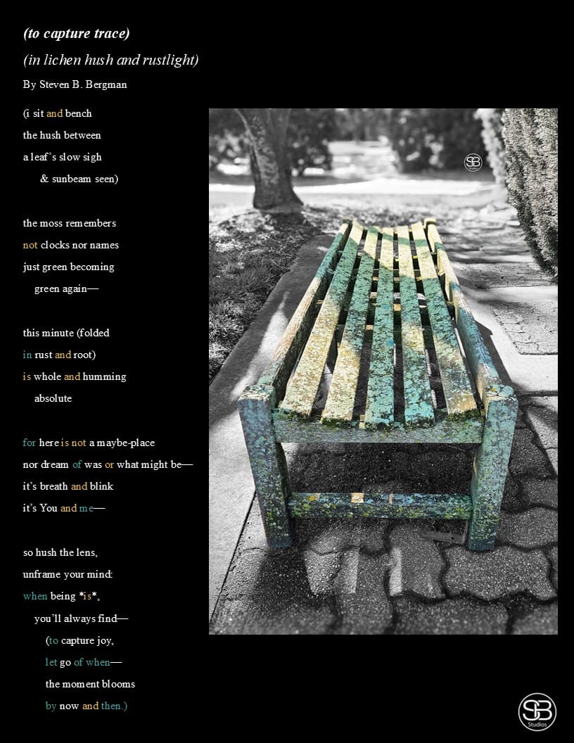Lichen and Light—Where Time Takes a Seat by SB Studios Summer 2025
